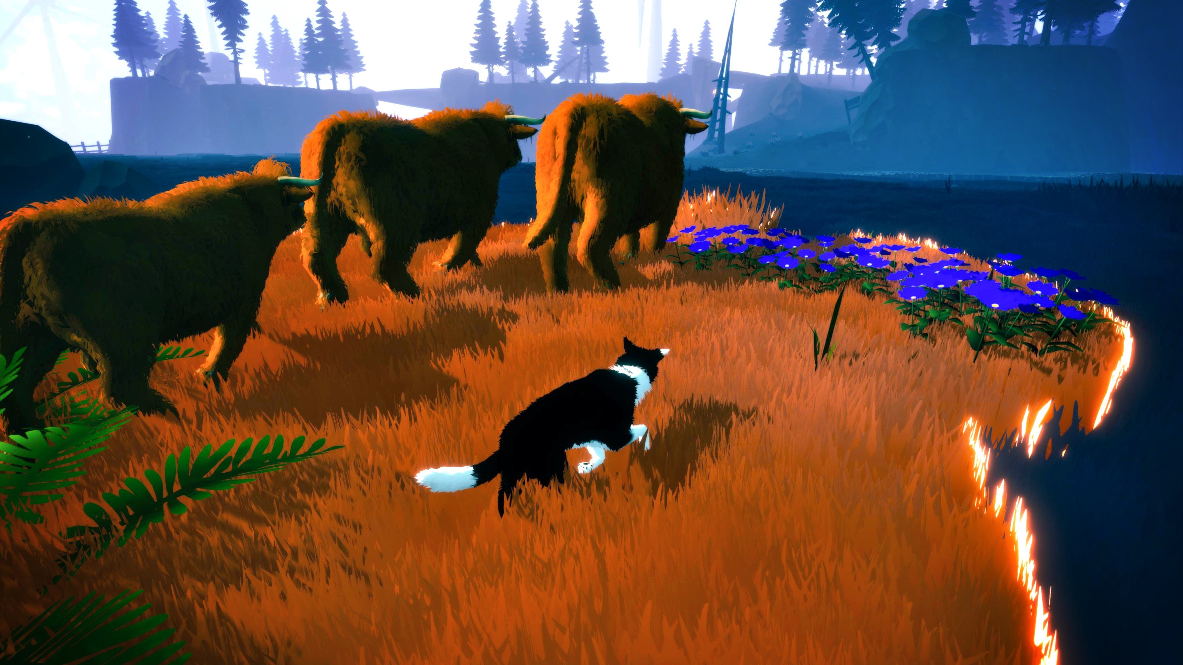 Farewell North cover image