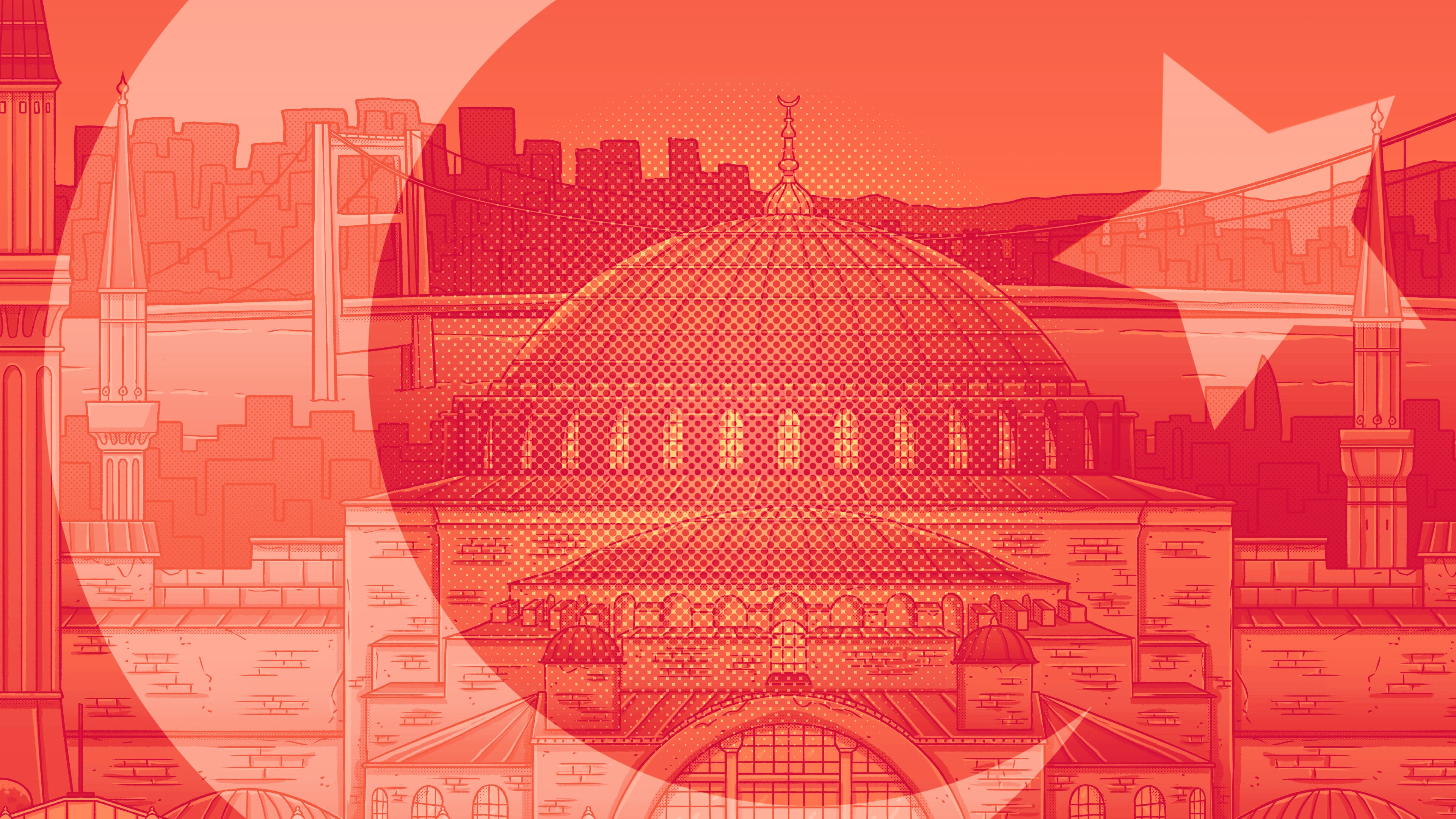 Hidden Cats in Istanbul cover image