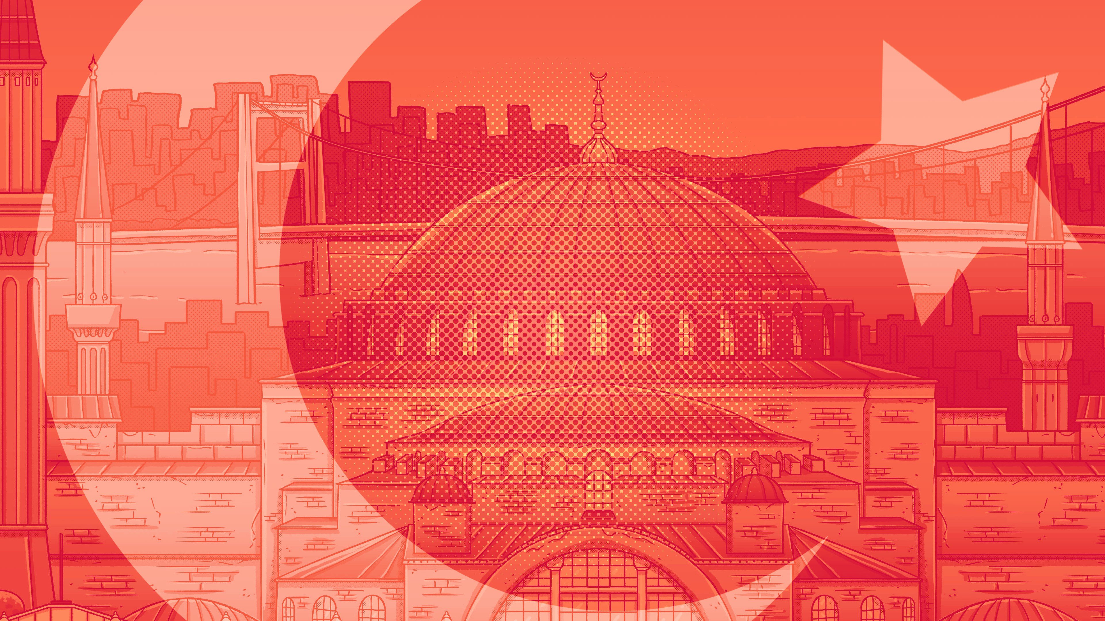 Hidden Cats in Istanbul cover image