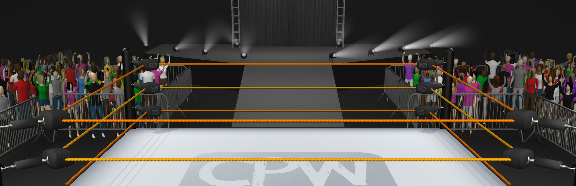 Casual Pro Wrestling cover image