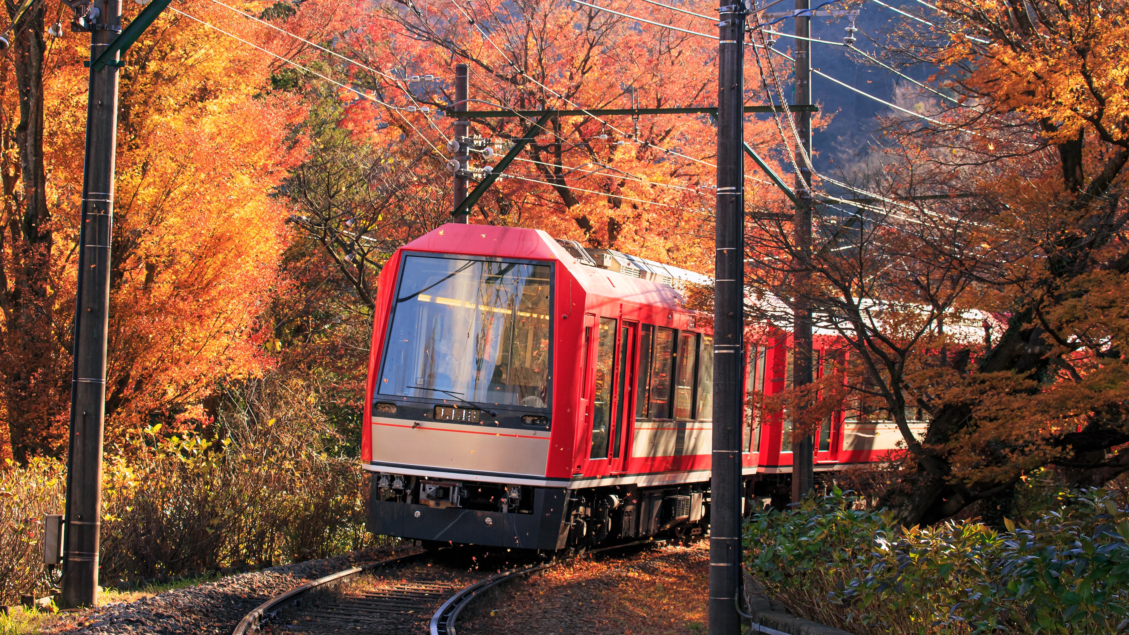 Japanese Rail Sim: Hakone Town of Natural Beauty and Hot Springs cover image