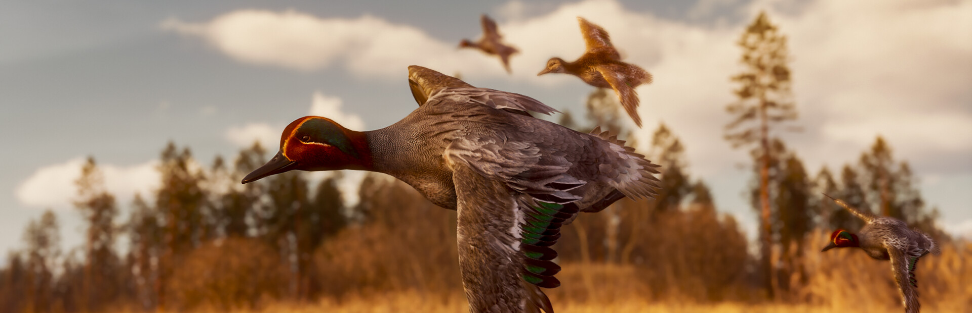 BULT: Hunting simulator cover image