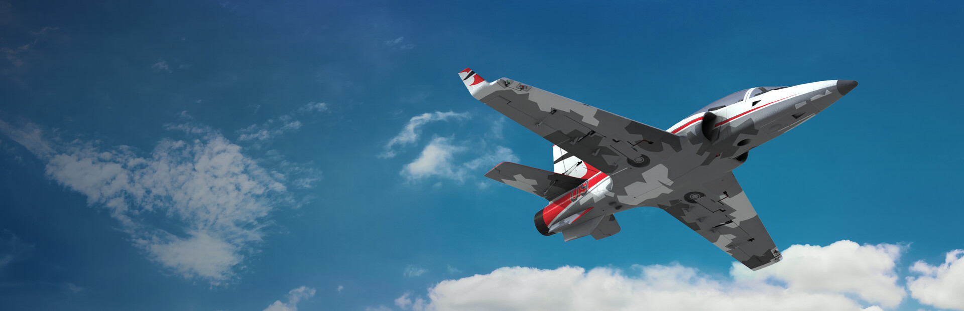 RealFlight Evolution cover image