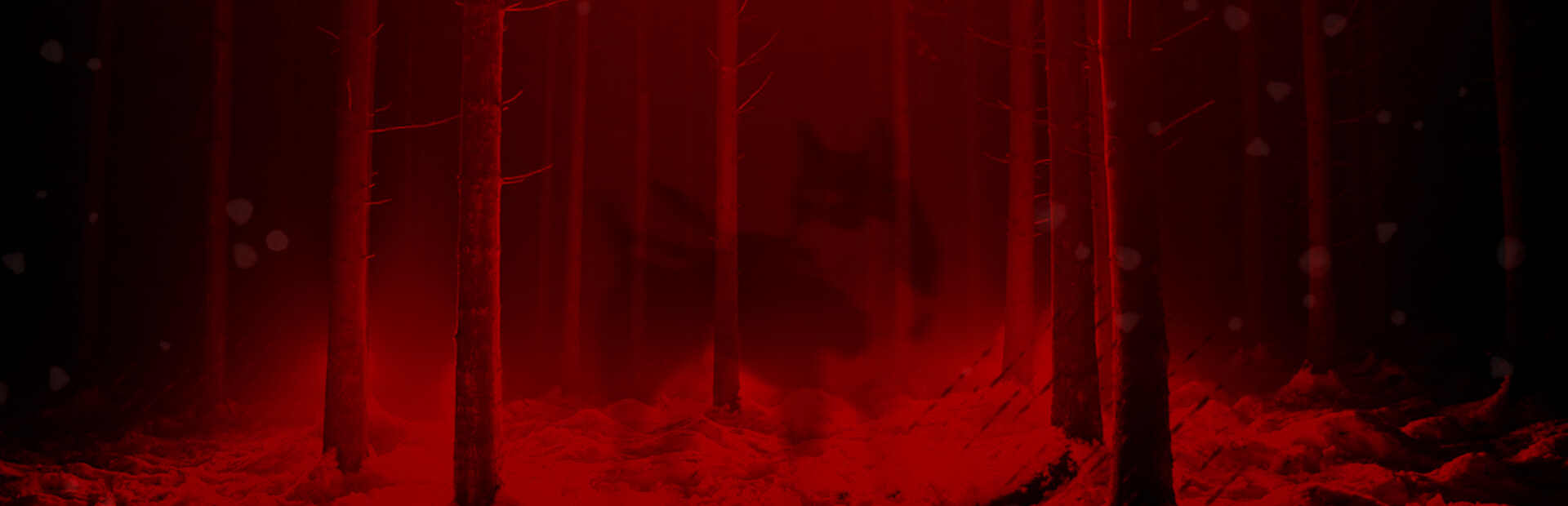 Setteeh cover image