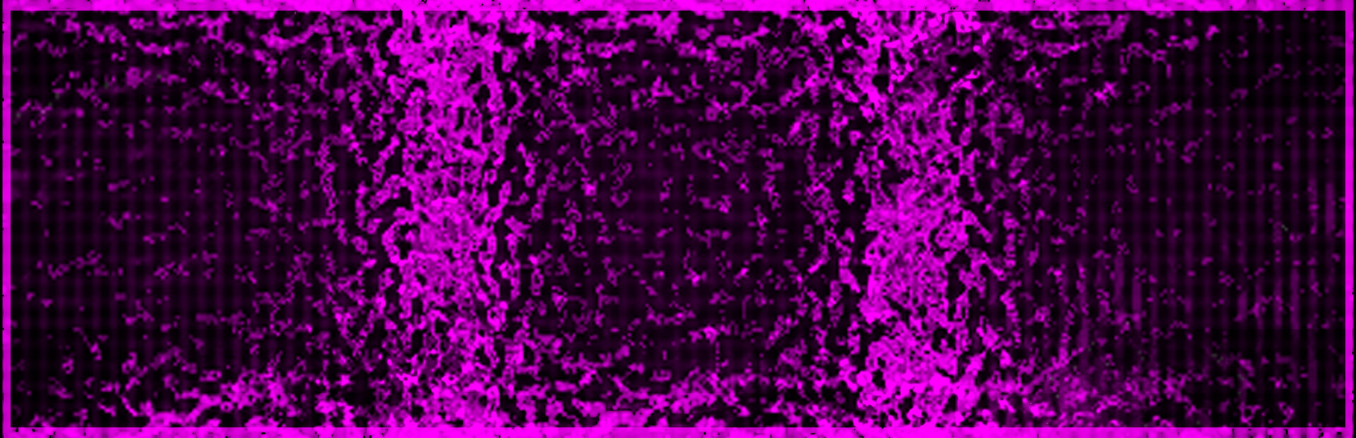 Xenosensory cover image