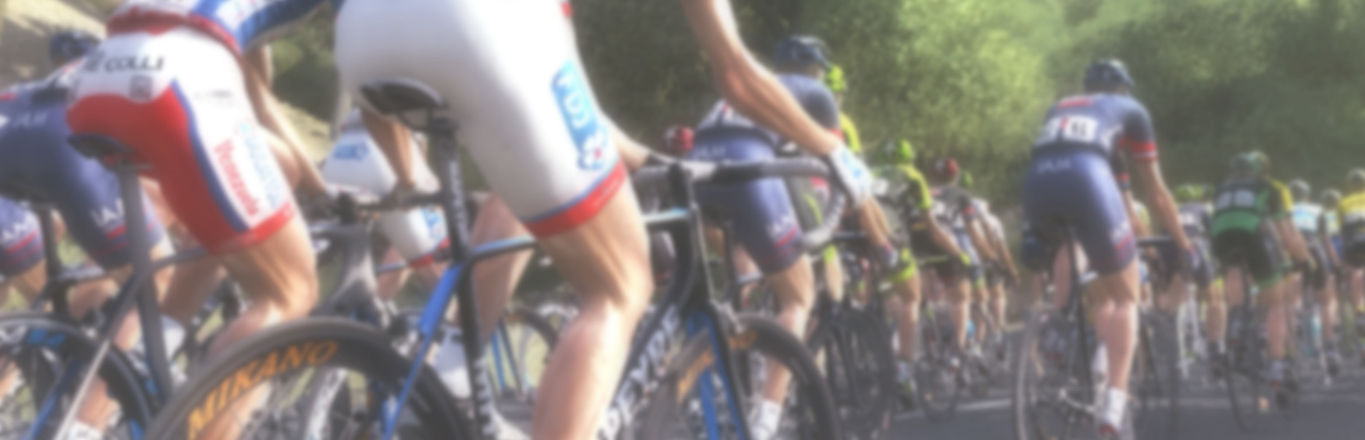 Pro Cycling Manager 2015 cover image