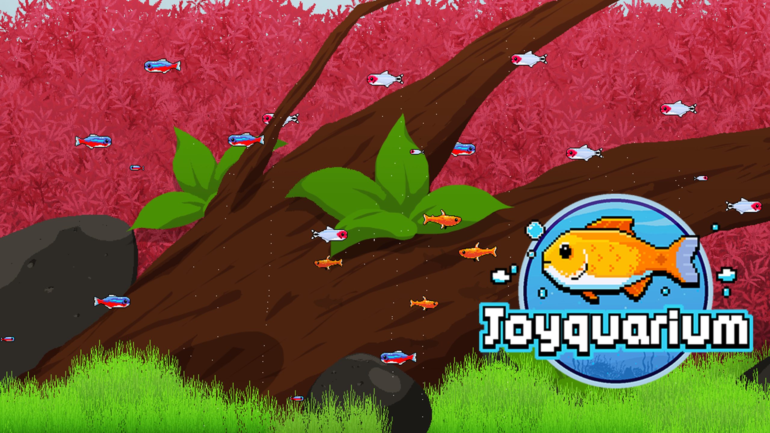 Joyquarium cover image