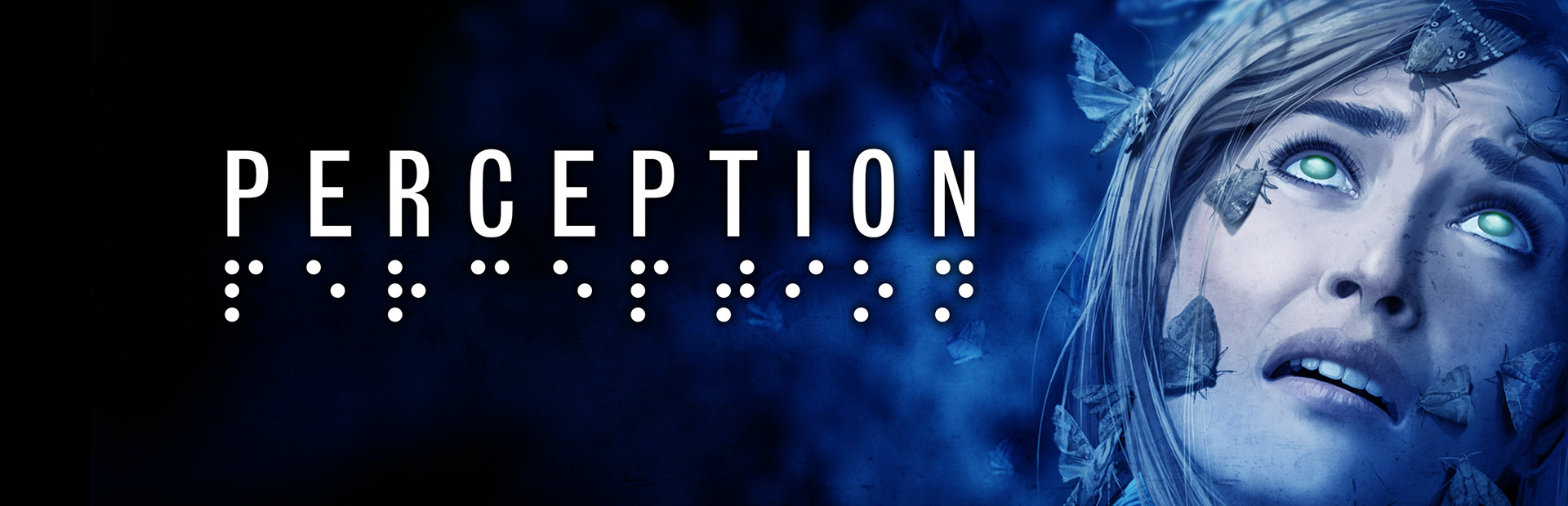 Perception cover image