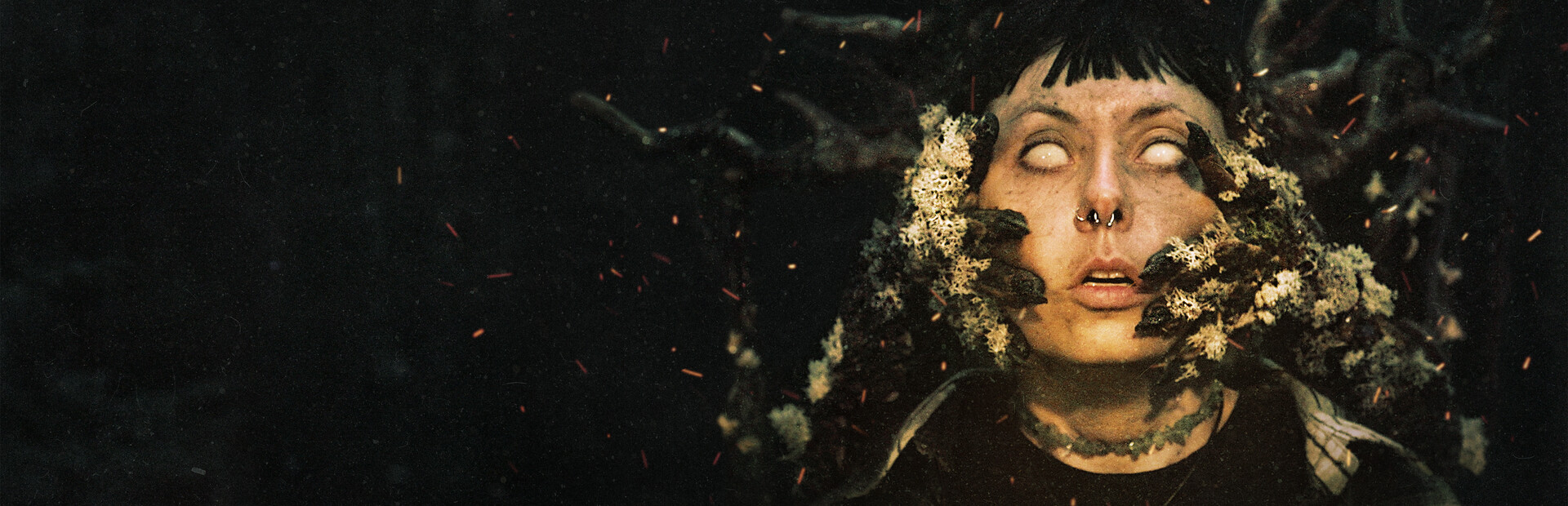 Heart of the Forest cover image