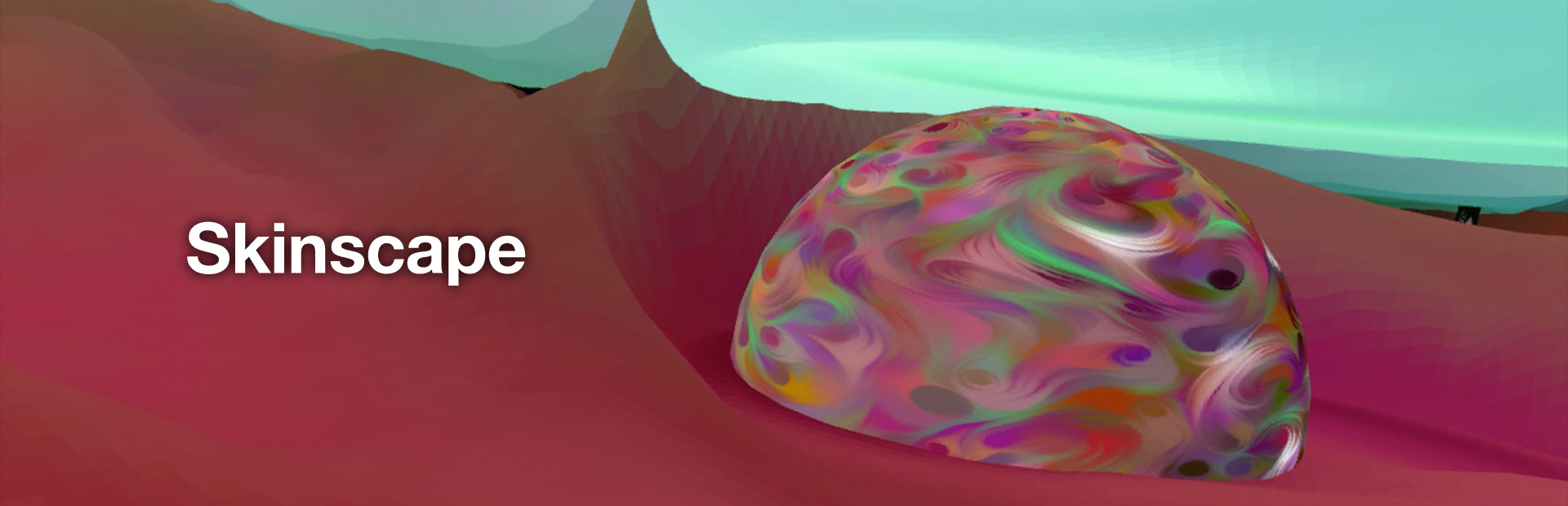 Skinscape cover image