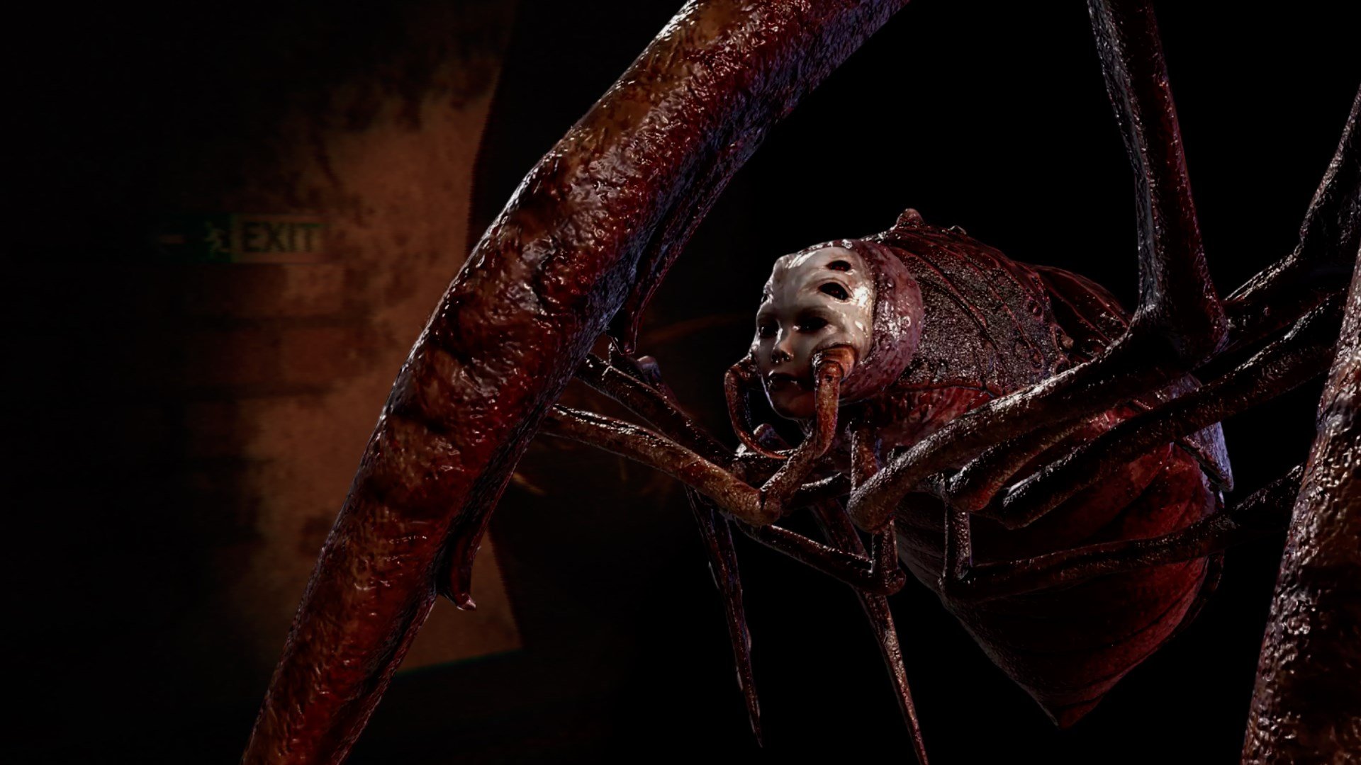 Zooparasite cover image