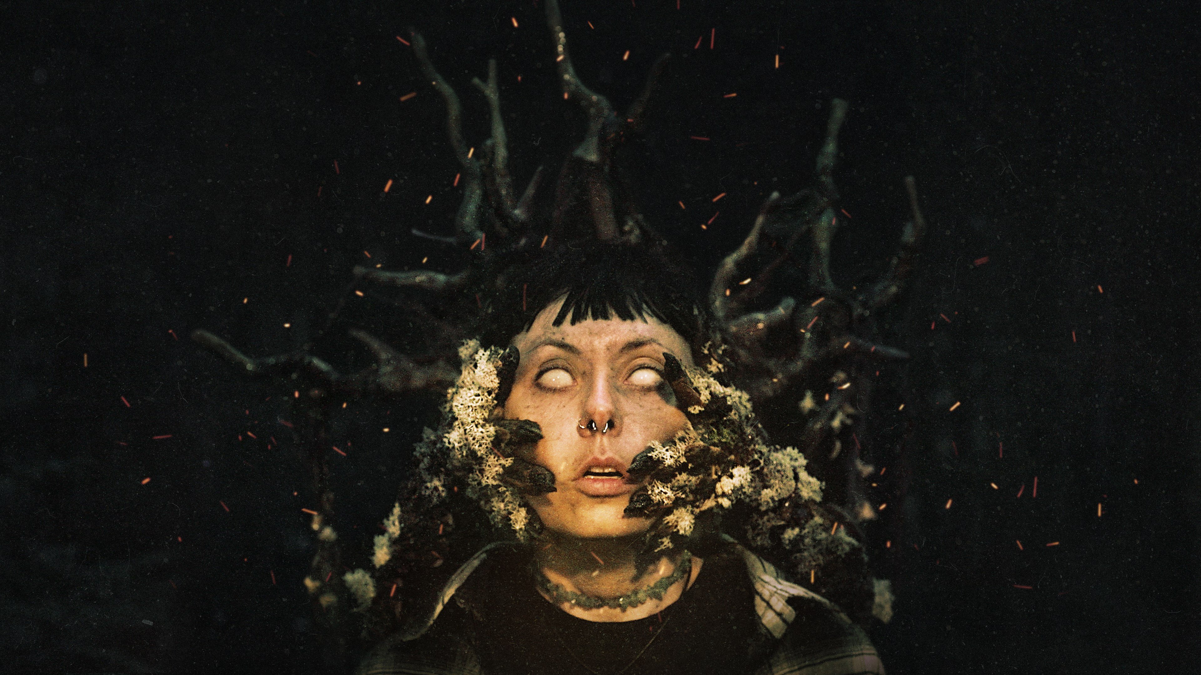 Heart of the Forest cover image