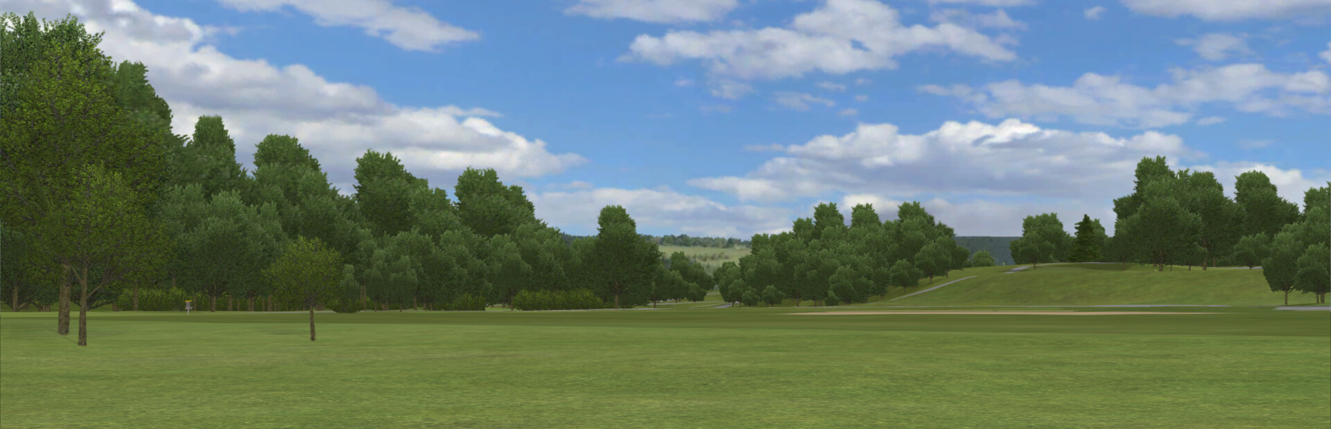 True Disc Golf cover image