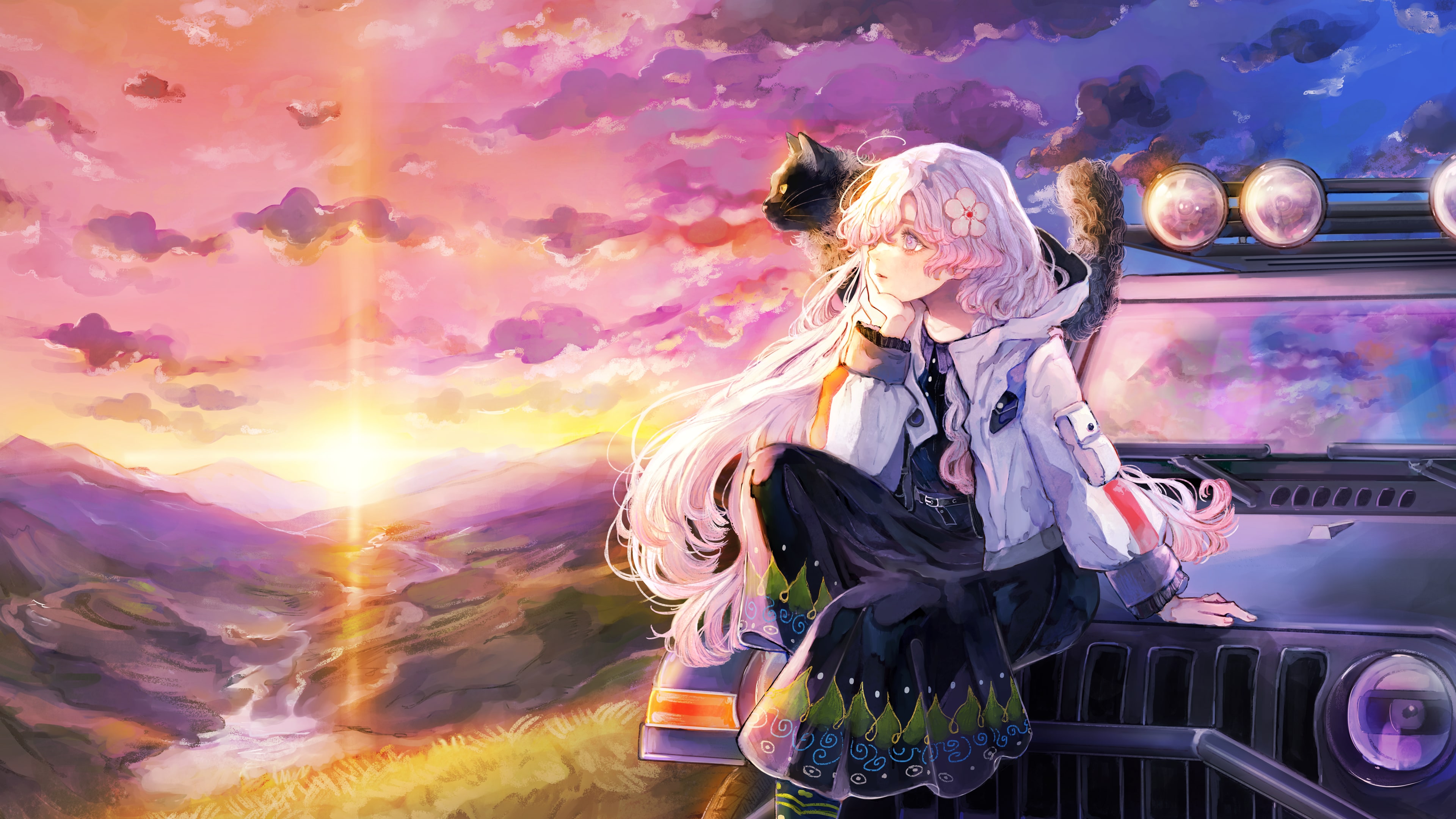 HYKE:Northern Light(s) cover image