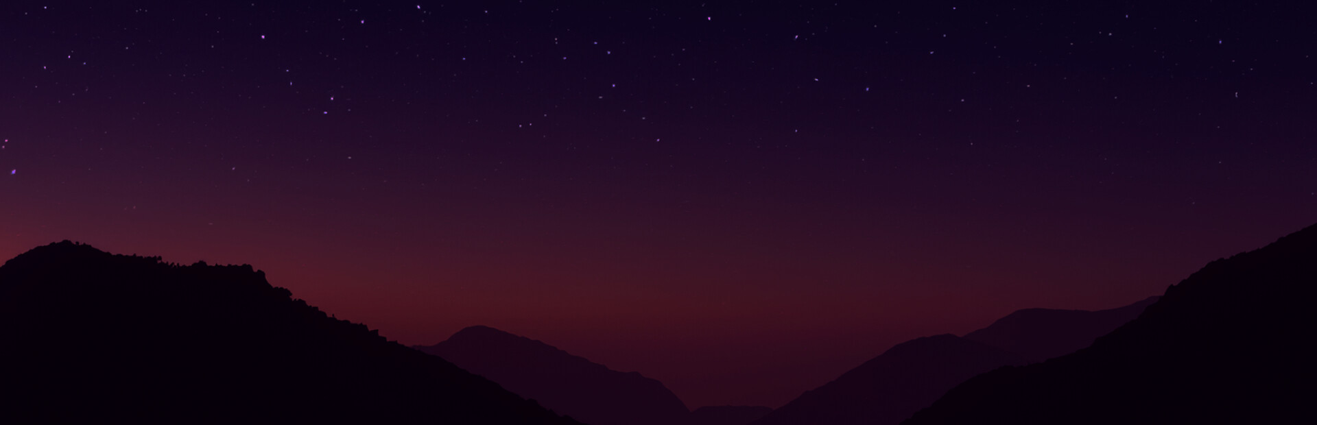 Coconut Simulator cover image