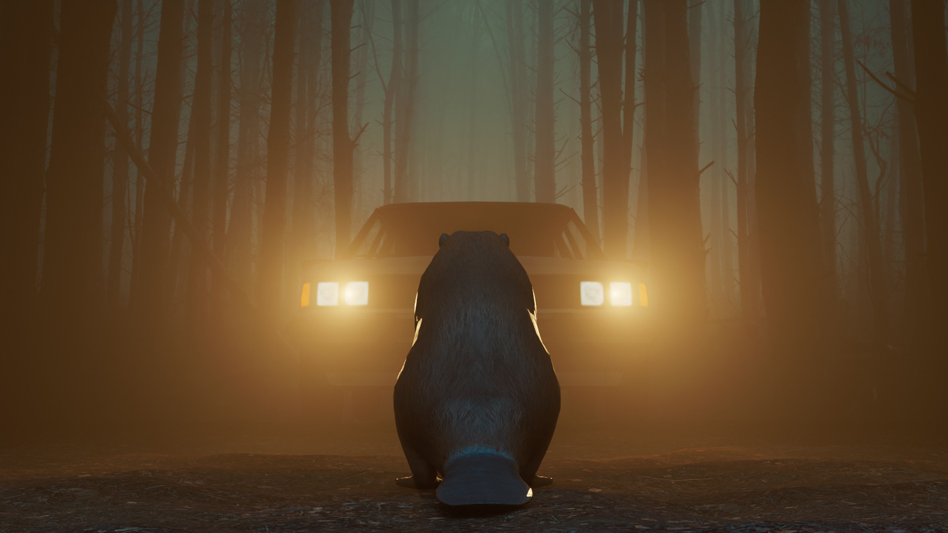 Don\'t Mess With Bober cover image