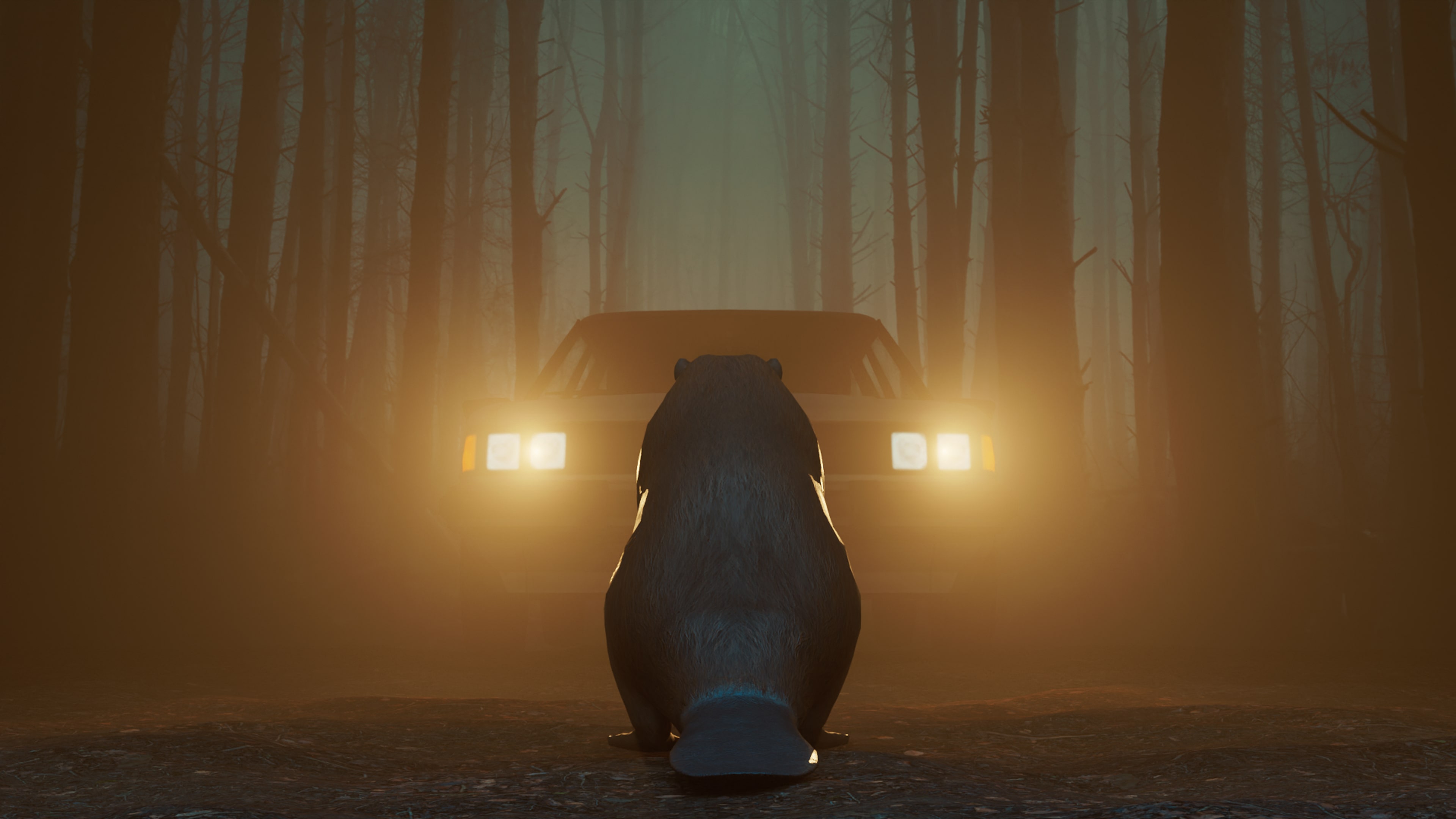 Don't Mess With Bober cover image