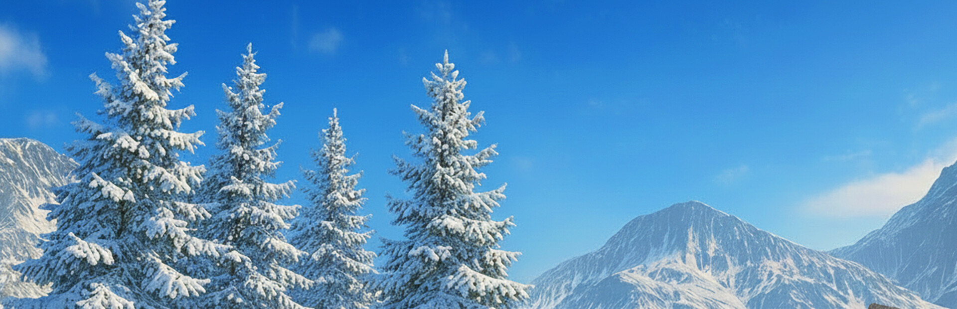 Arctic Drive cover image