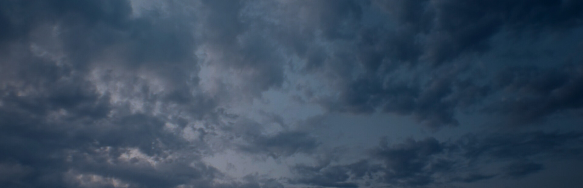 Coconut Simulator 2 cover image