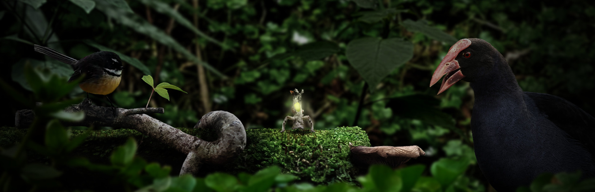 Seedlings cover image