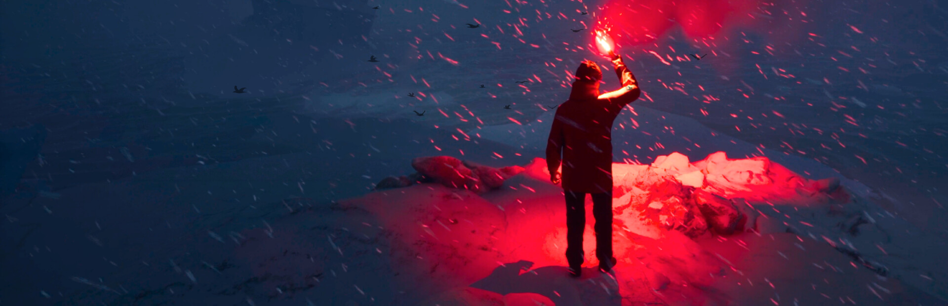 WILL: Follow The Light cover image