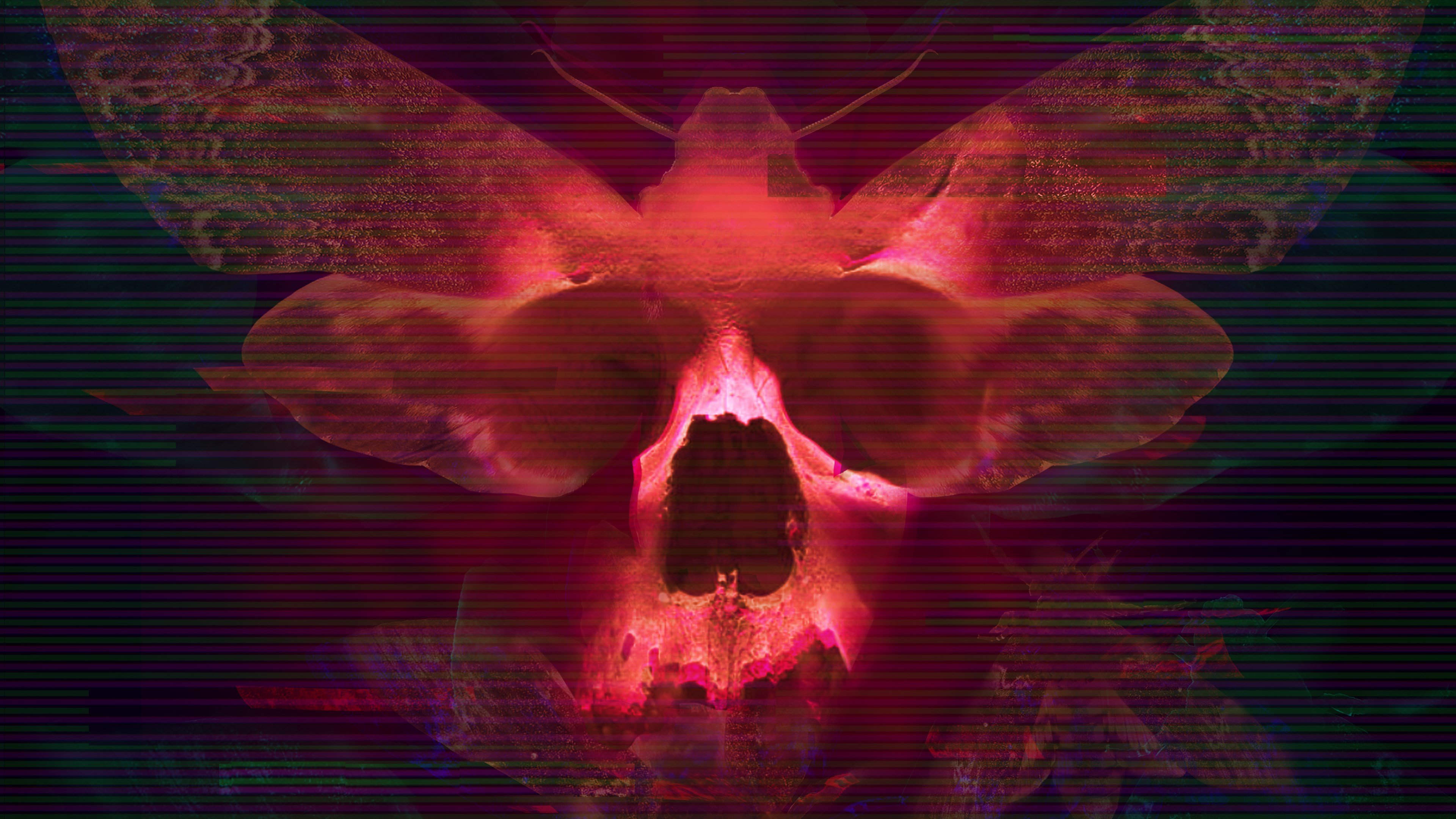 Transient cover image