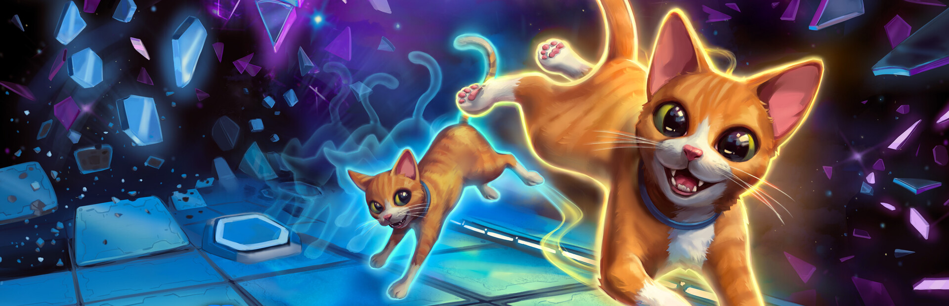 Schrodinger's Cat Burglar cover image