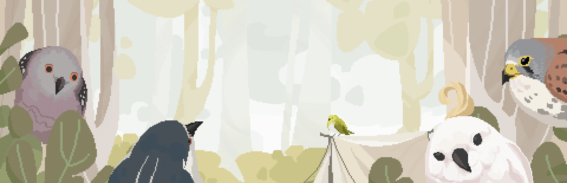 Birdwatching Notebook cover image