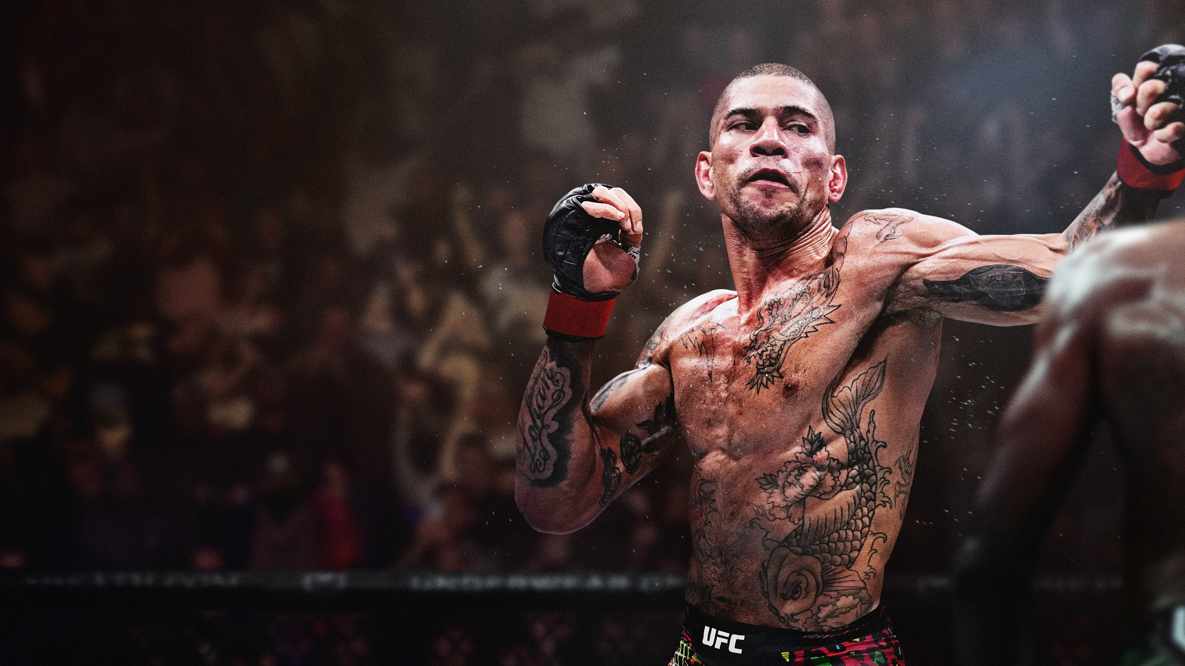 EA SPORTS™ UFC® 6 cover image