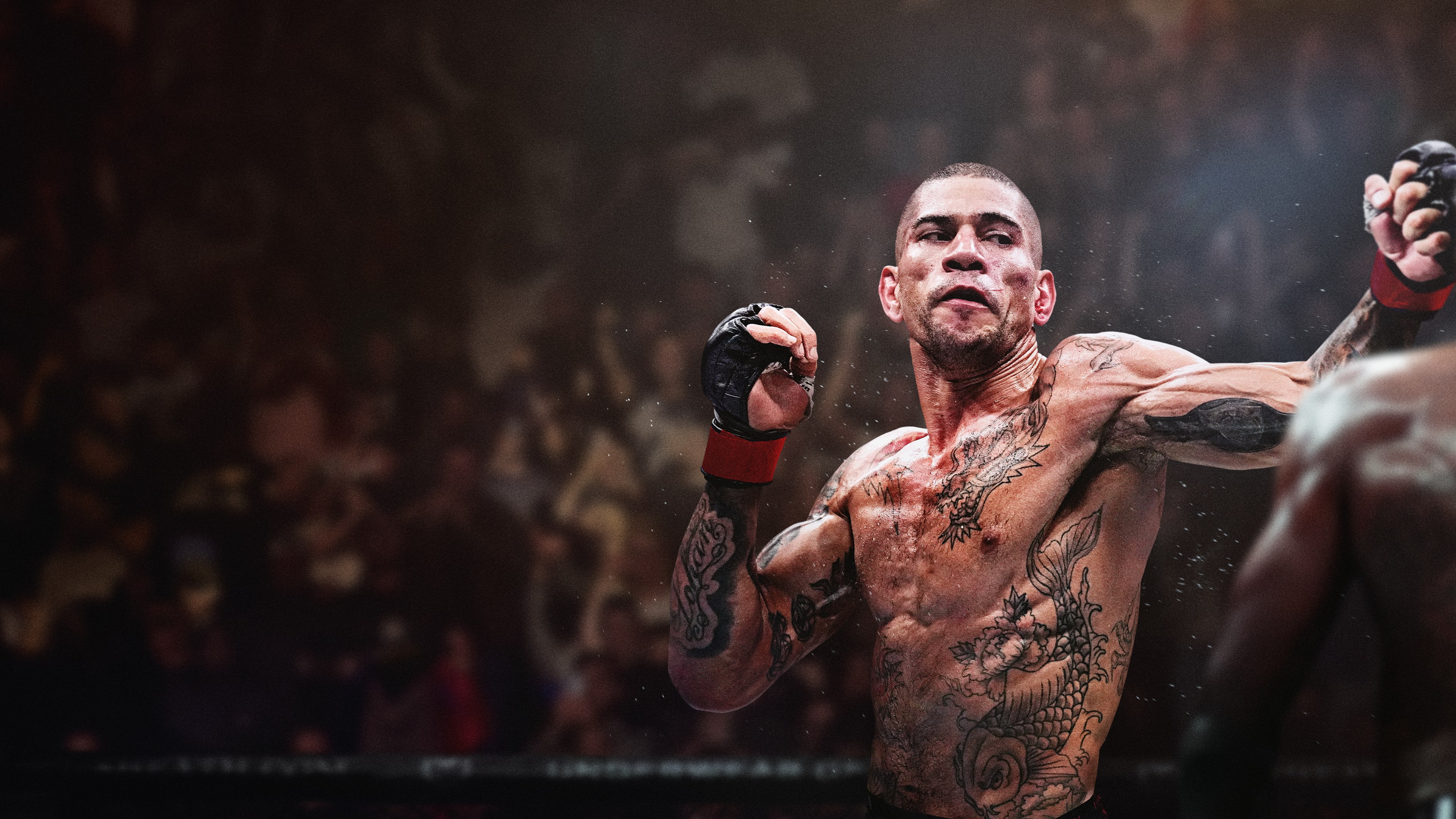 UFC® 6 cover image