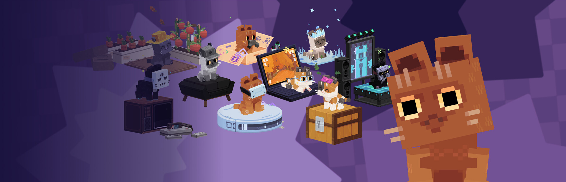 Pat the Cat cover image