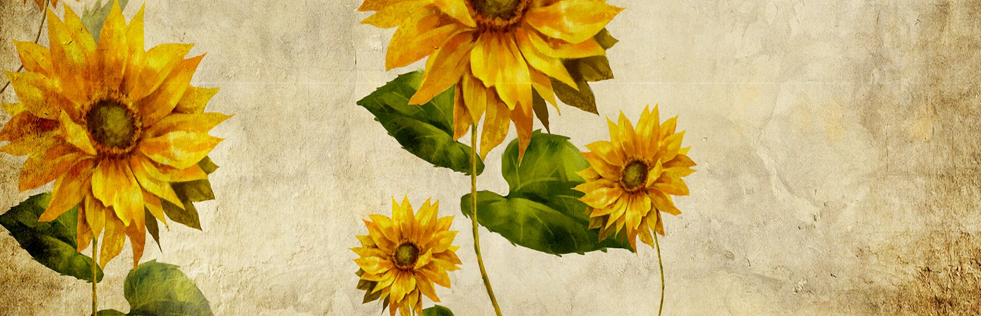 Ostensible cover image