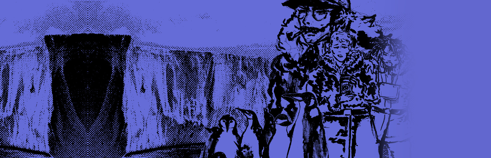 Penguin Colony cover image
