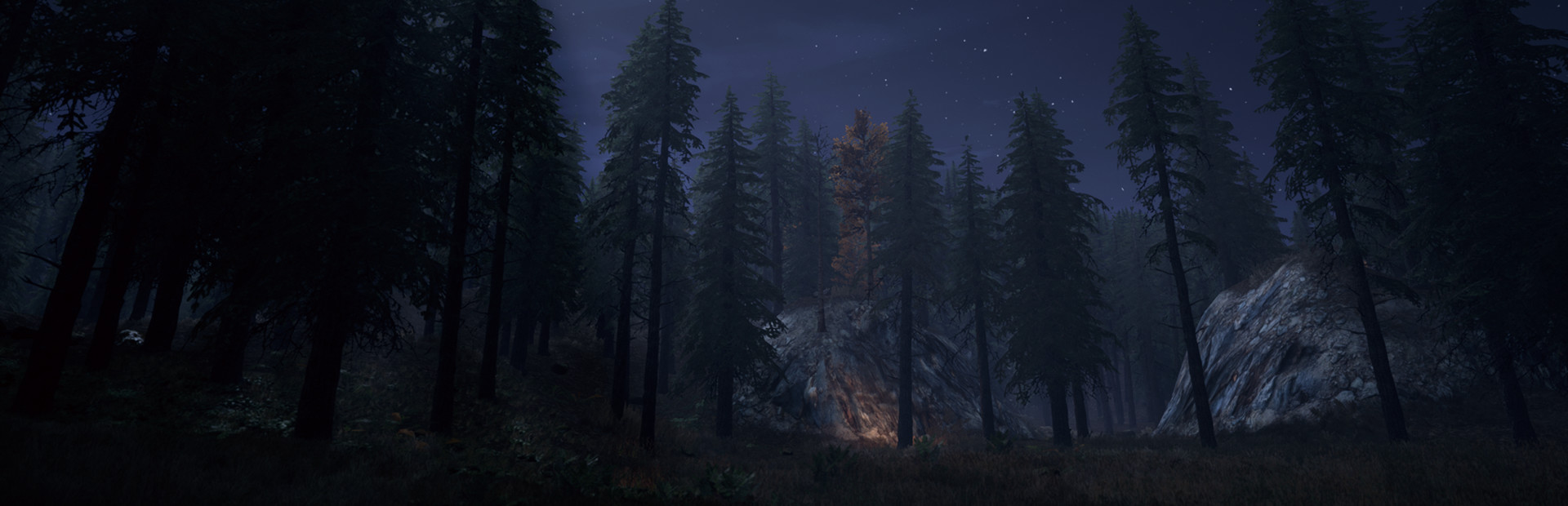 Nightwalker cover image