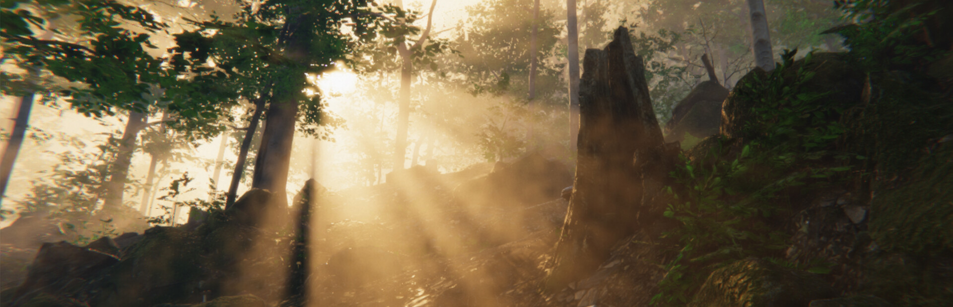 Left Behind cover image