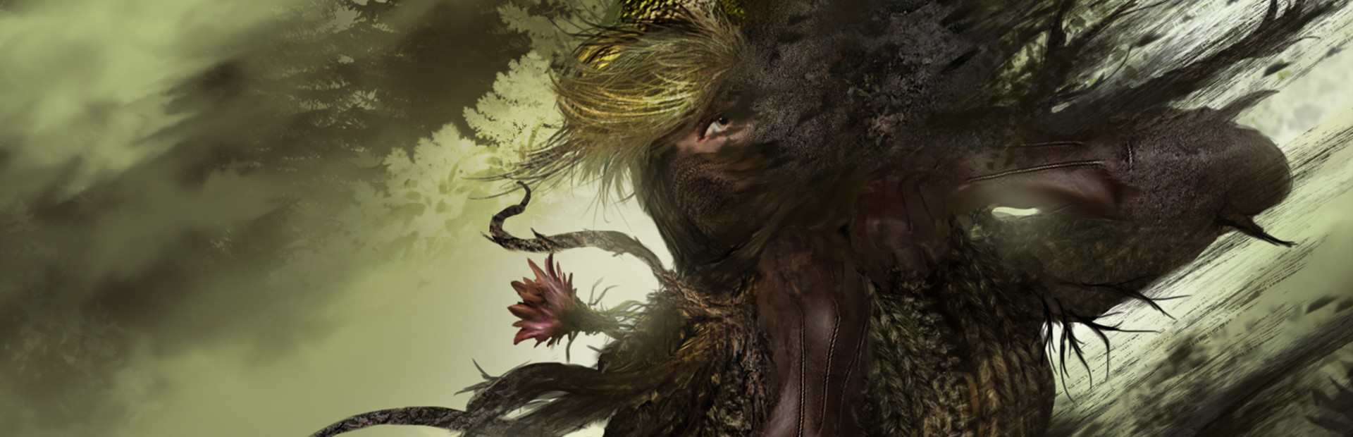 Raindancer cover image