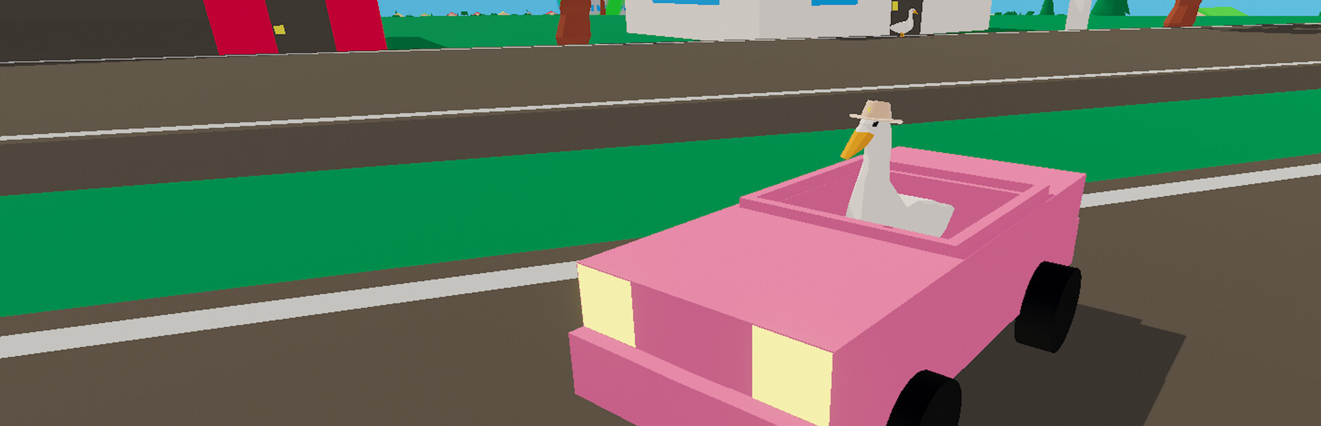 Ducks Can Drive cover image
