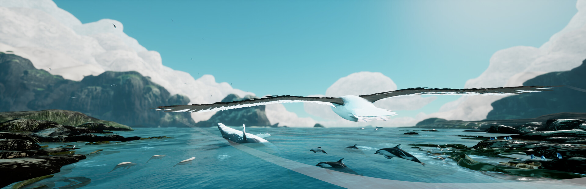 Toroa: Skycall cover image