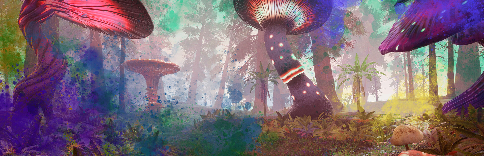 Lucid Cycle cover image