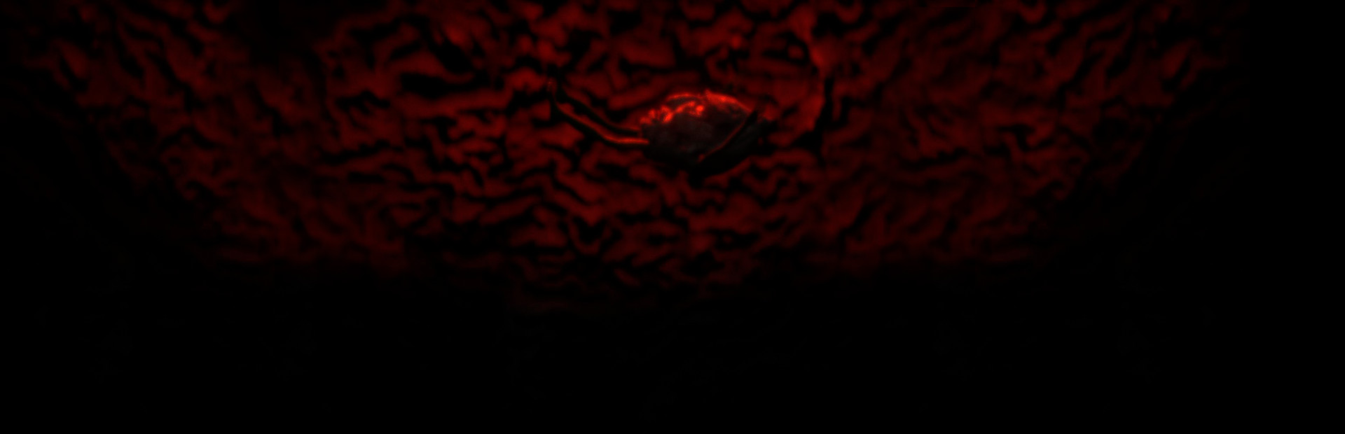 Tomato Way 2 cover image