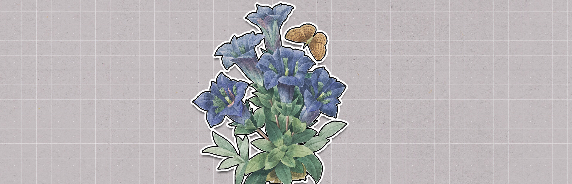 Plants Huddled Together cover image
