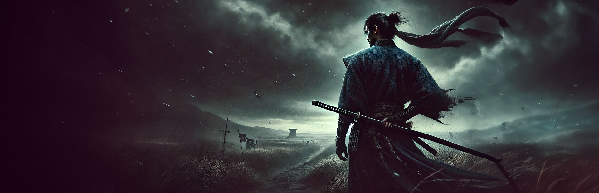 Rogue Samurai cover image