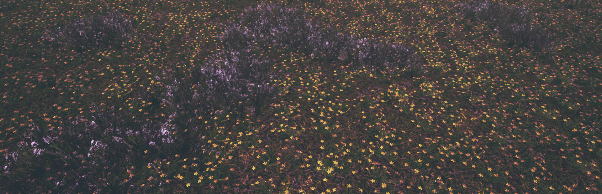 Loverowind cover image