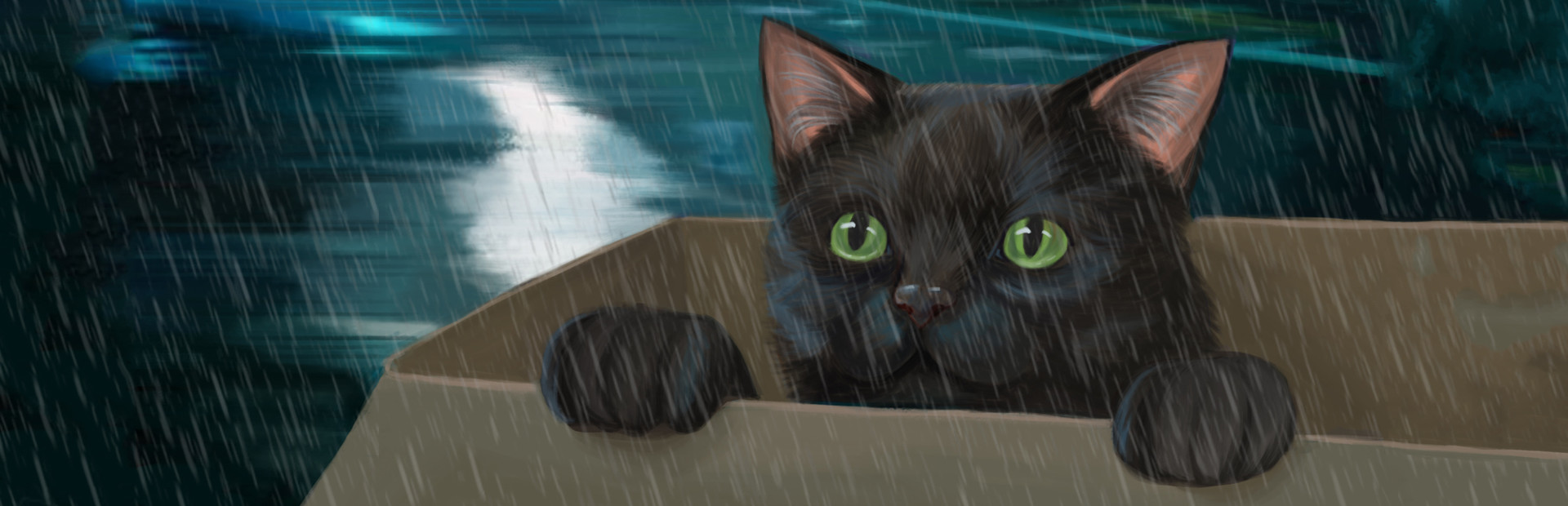 Cute Cats 2 cover image
