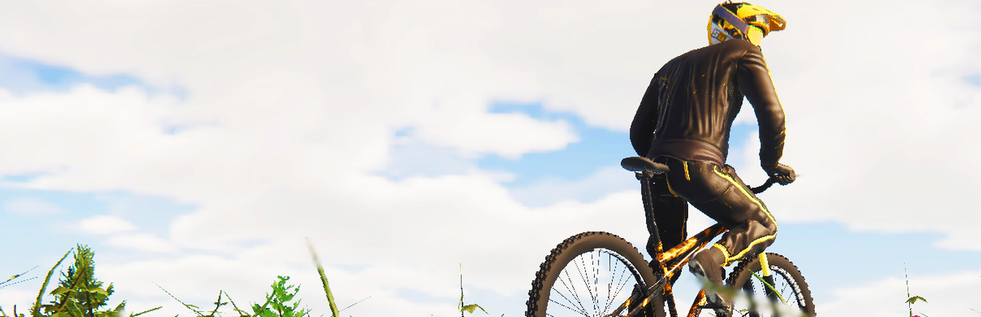 BMX Wild Run cover image