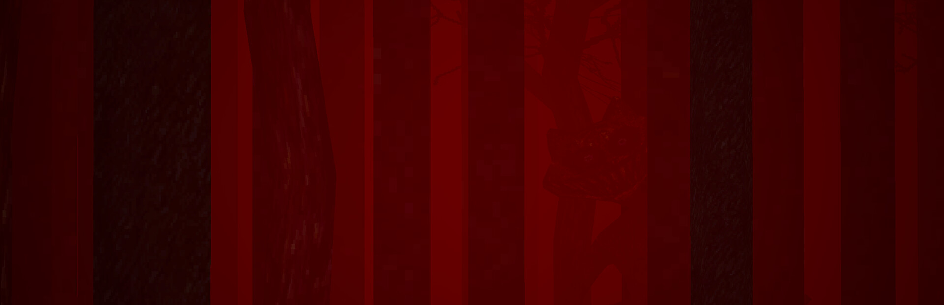Treasure Tiger cover image