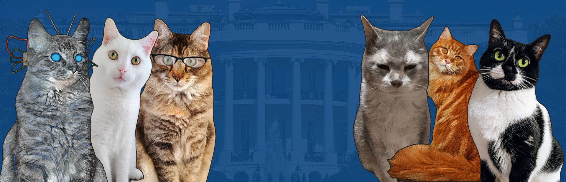 Cat President 2: Purrlitical Revolution cover image
