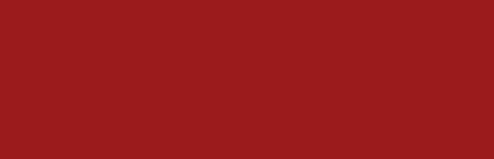 Shrimp cover image
