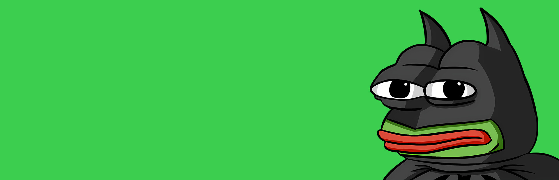 Frog cover image