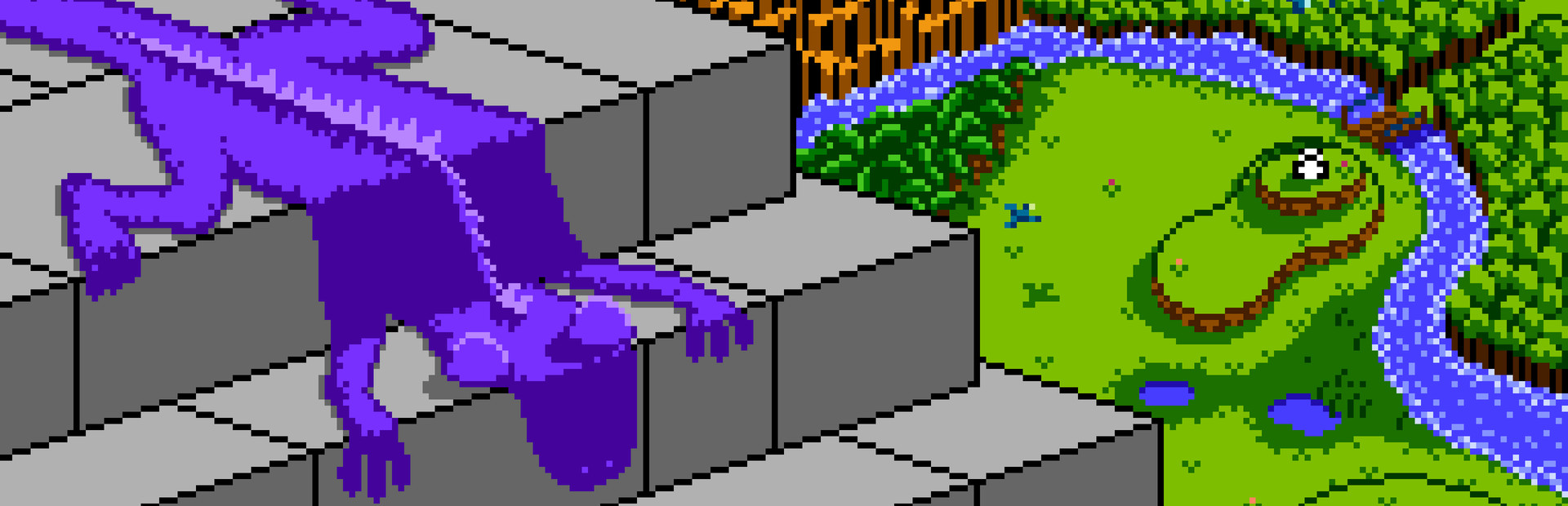 Lizard cover image